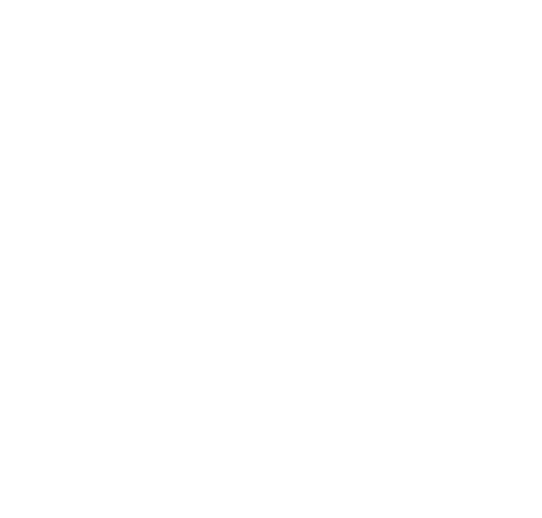 IC computer services